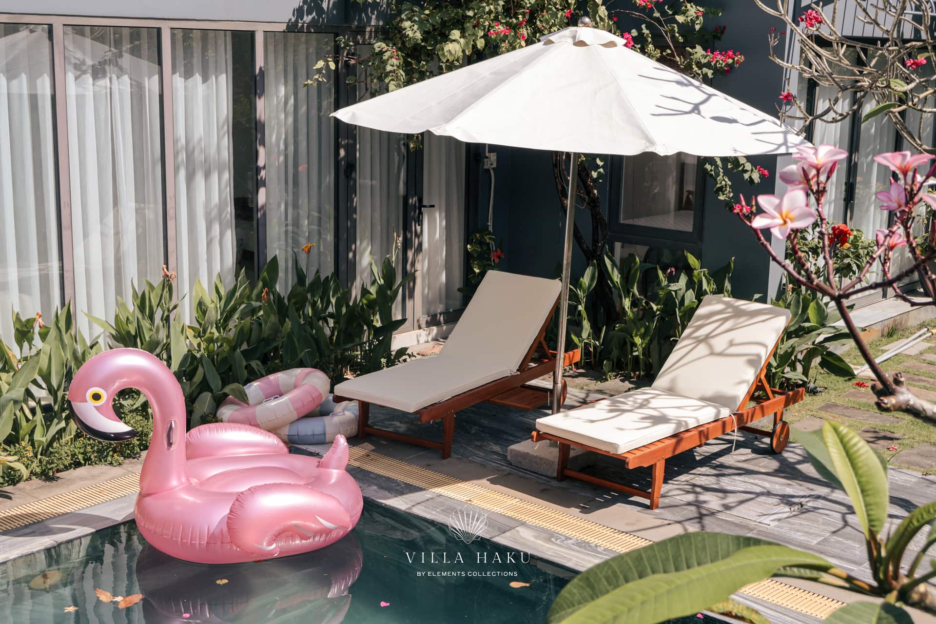 Haku's pool corner, loungers, frangipani, one flamingo